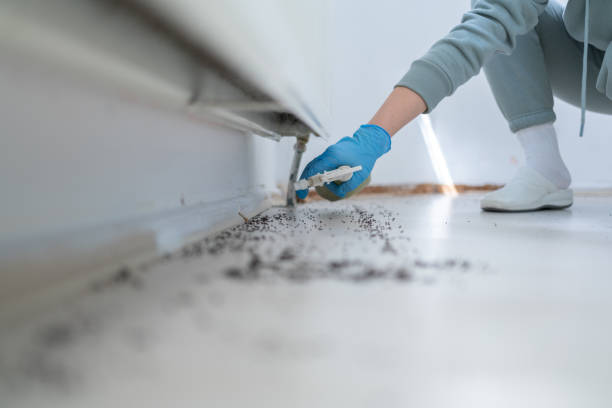 Best Local Pest Control Services  in Pleasant Grove, AL